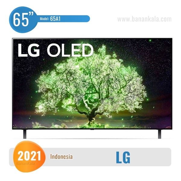 LG 65A1 TV size 65 inches