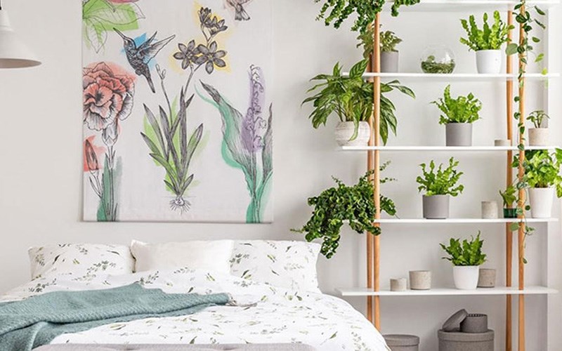 ارتفاع گیاهان در اتاق خواب