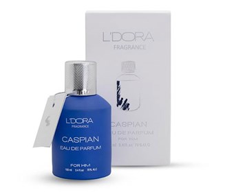 Men's Eau de Parfum model CASPIAN Ledora Fragrance 100 ml