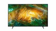 Sony 49X8000H TV size 49 inches