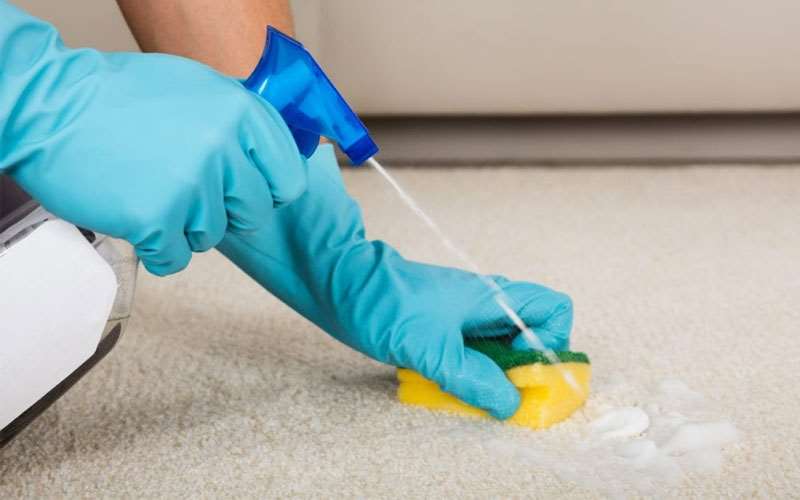 حلال های لکه بر، را برای از بین بردن لکه روغن روی فرش به کار ببرید