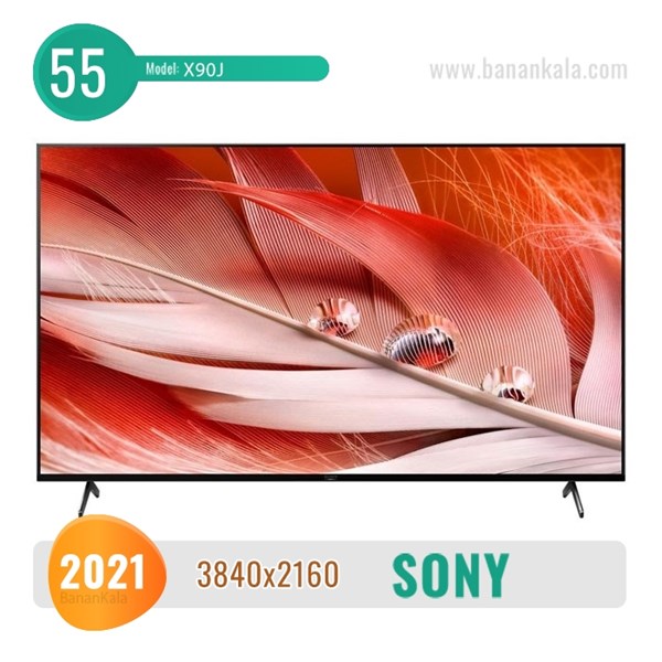 Sony 55X90J TV size 55 inches
