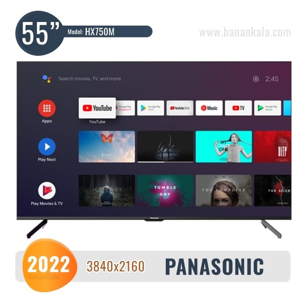 Panasonic 55HX750M TV